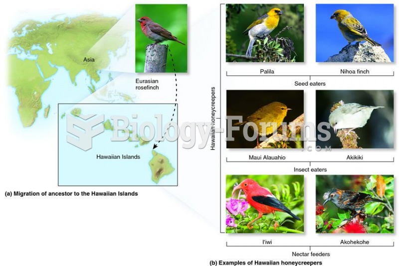 An example of the founder effect with subsequent adaptive radiation.