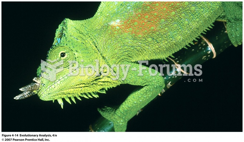 Chameleons are a clade of lizards