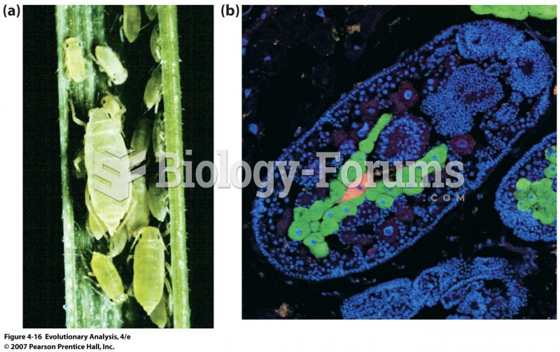 Aphids and their bacterial endosymbionts
