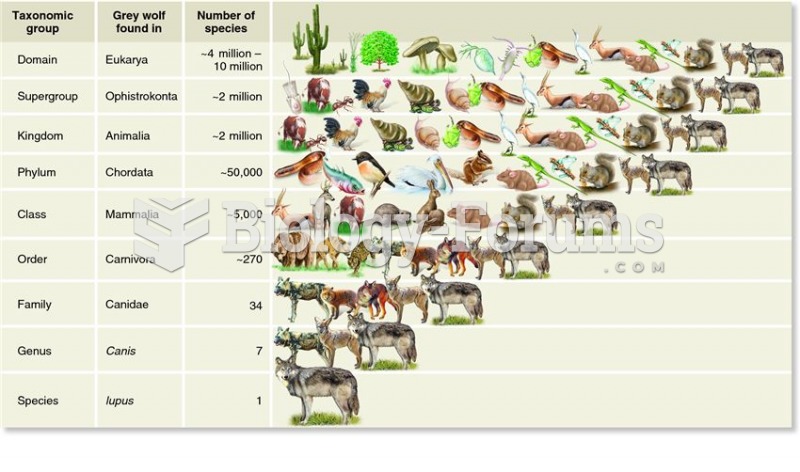 A taxonomic classification of the grey wolf (Canis lupus).