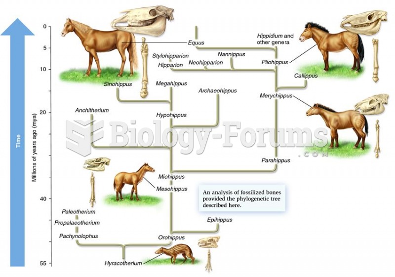 Horse evolution.