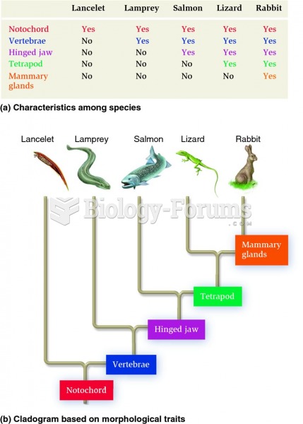 Ancestral versus shared derived characters involving morphological traits.