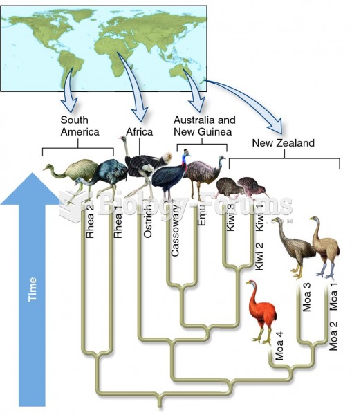 A revised phylogenetic tree of flightless birds.