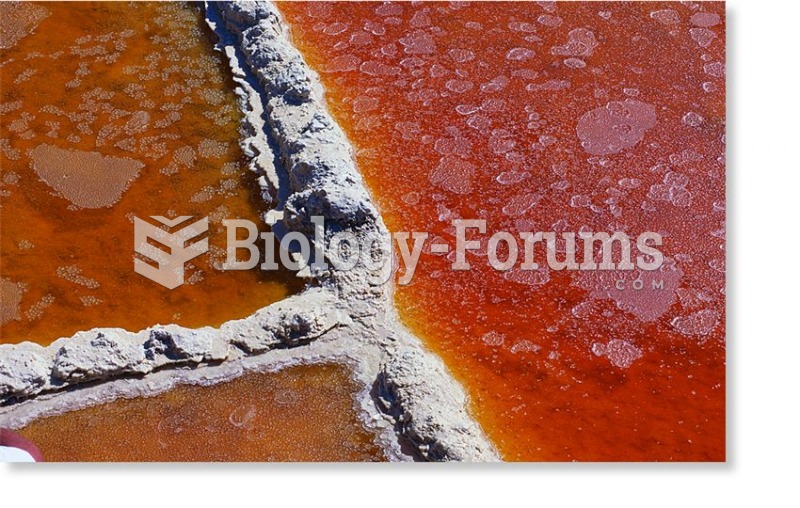 Hypersaline waters coloured red by numerous halophilic archaea.