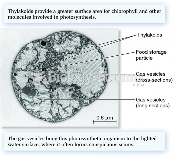 Photosynthetic thylakoid membranes and numerous gas vesicles found in a cell of the cyanobacterial g