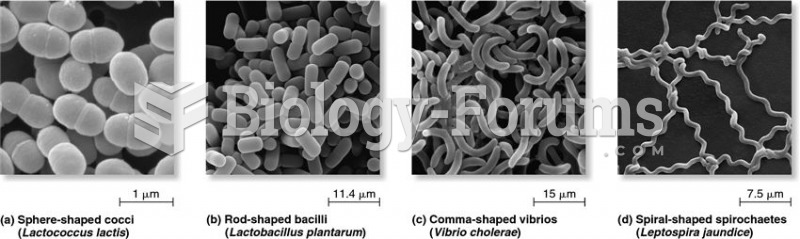 Major types of microbial cell shapes.