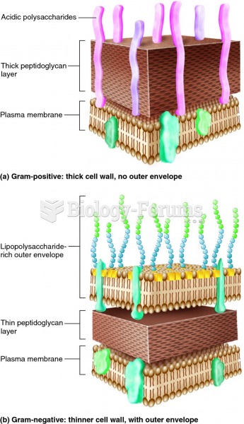Cell-wall structure of Gram-positive and Gram-negative bacteria.
