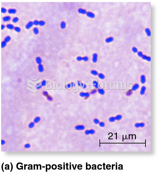 Gram-positive and Gram-negative bacteria.