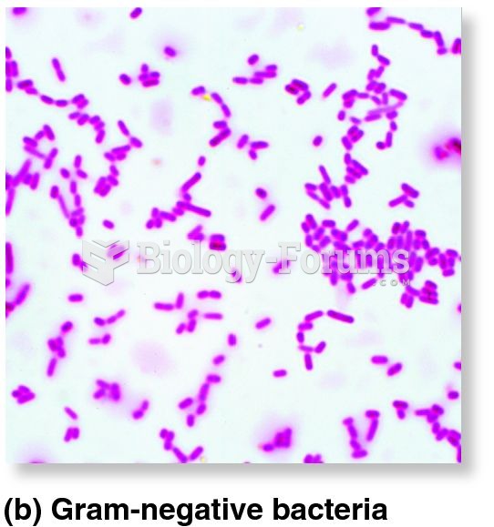 Gram-positive and Gram-negative bacteria.