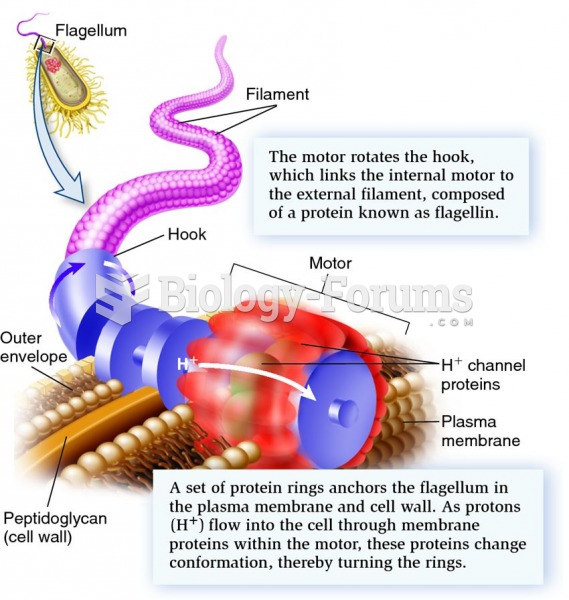 Diagram of a prokaryotic flagellum, showing filament, hook, and motor.