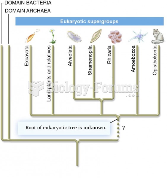A phylogenetic tree showing the major eukaryotic supergroups.