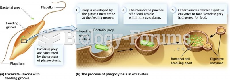 Feeding groove and phagocytosis displayed by many species of supergroup Excavata.