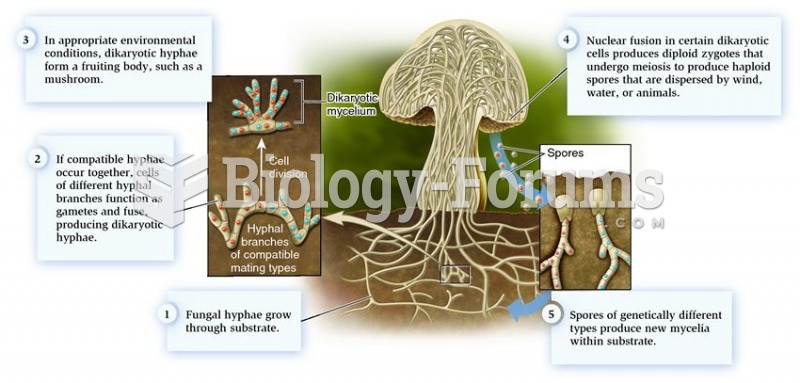 The reproductive fungal body