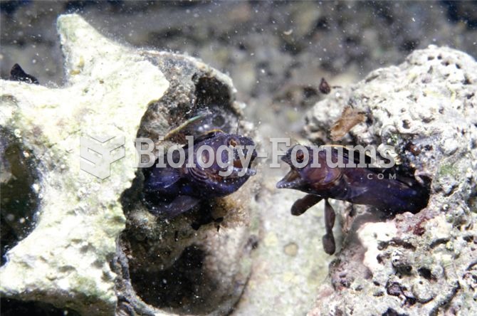 Territorial reef fish compete intensely for space.