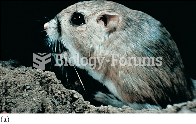 Two species of granivorous rodents living in the Chihuahuan Desert: (a) the kangaroo rat, Dipodomys 