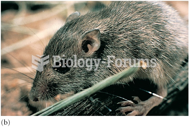 a pocket mouse, Perognathus sp., a small granivor