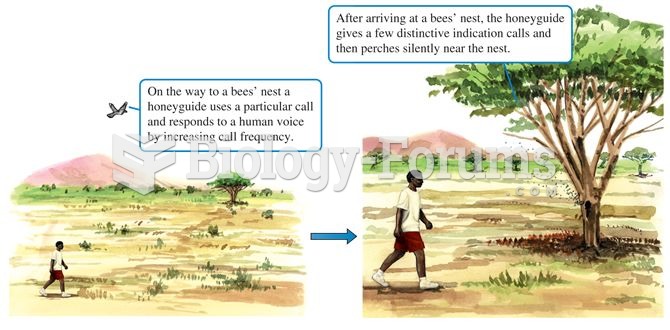 Vocal communication between honeyguides and humans.