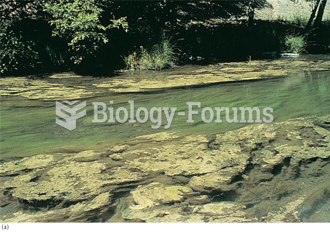 Seasonal changes in biomass and growth form of benthic algae in the Eel River, California: (a) in ea