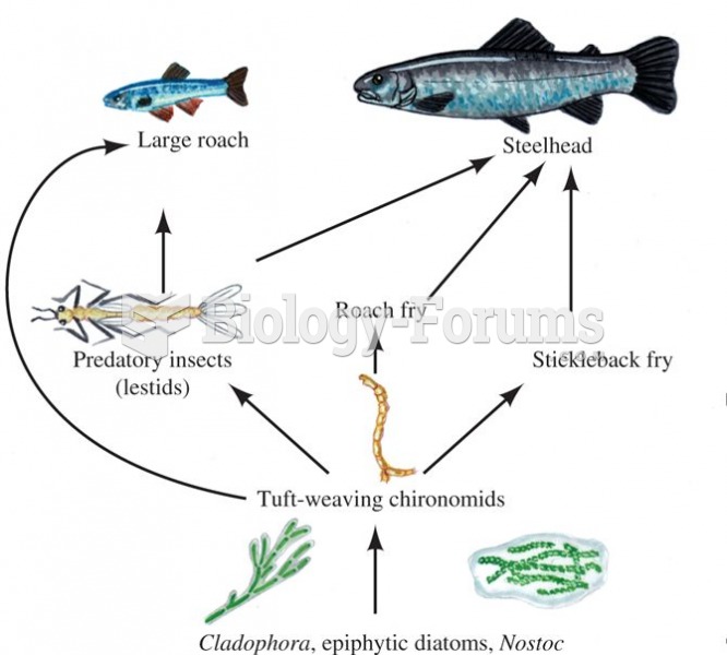 Food web associated with algal turf during the summer in the Eel River, California.