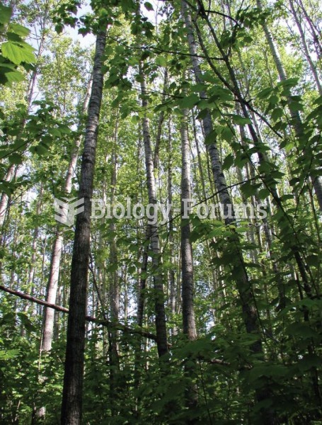 Changes in boreal forest composition along a chronosequence in Quebec. Dates refer to the year of th