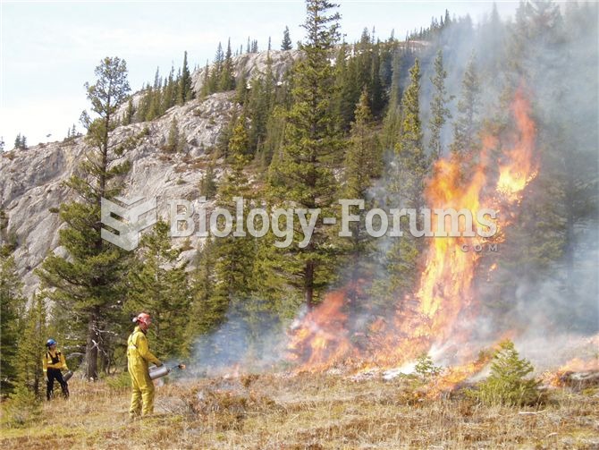 A controlled fire being set as part of ecosystem management in Jasper National Park.