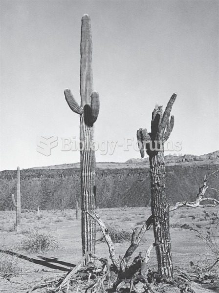 Details of plant population biology from repeat photography: (a) saguaro cactus in MacDougal Crater,