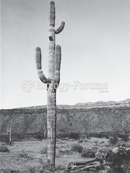 Details of plant population biology from repeat photography: (a) saguaro cactus in MacDougal Crater,
