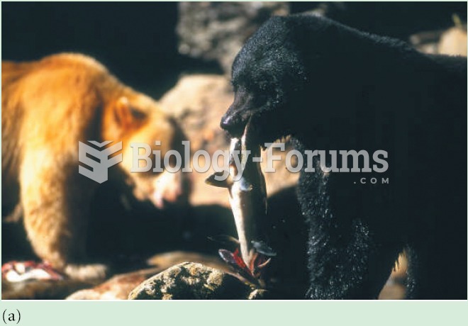 (a) Feeding by bear on salmon results in large allochthonous inputs of nutrients into (b) the forest