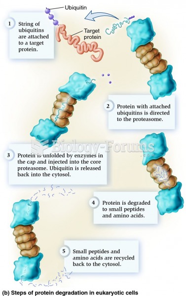 Protein degradation via the proteasome