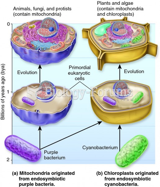 The endosymbiosis theory