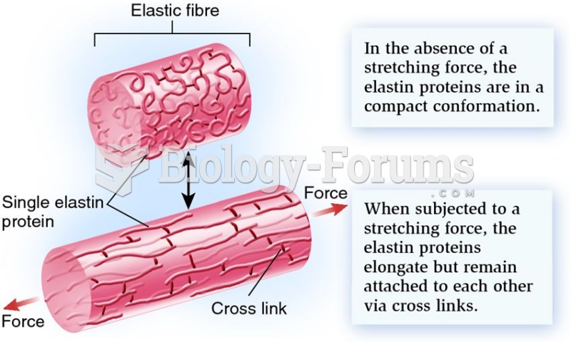 Elastic fibres are made of elastin, one type of structural protein found in the ECM of animal cells