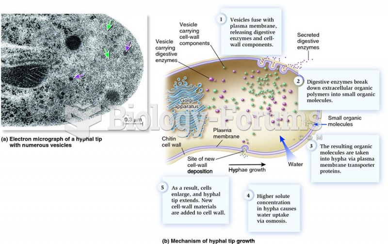 Hyphal tip growth and absorptive nutrition.