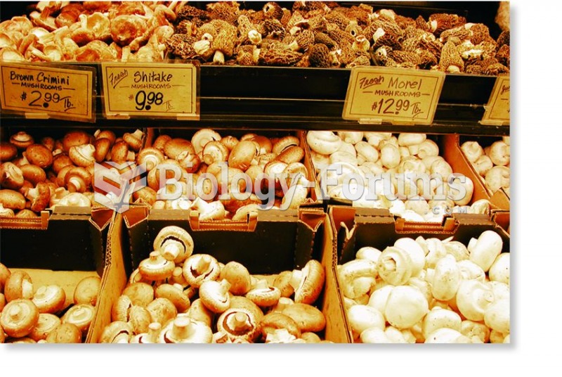Many types of edible fungi are grown for the market.