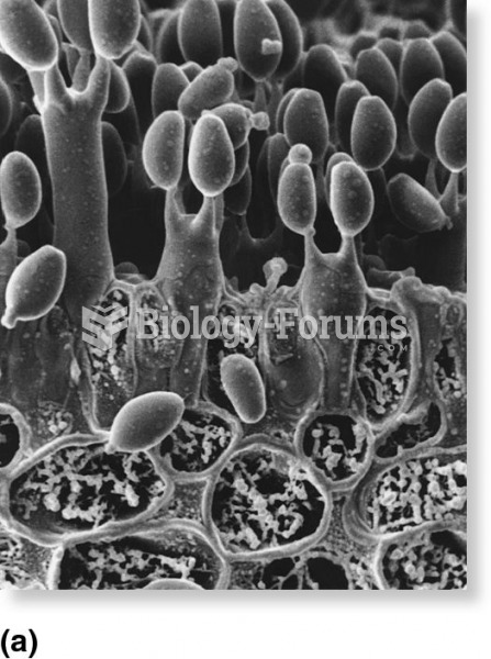Sexual and asexual reproductive cells of fungi.