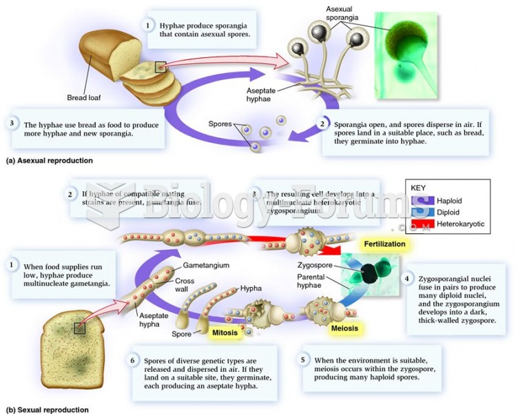 The life cycle of a zygomycete, the black bread mould Rhizopus stolonifer.