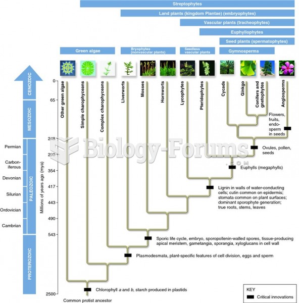 Evolutionary relationships of the modern plant phyla.