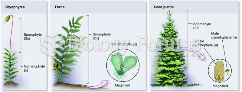 Relative sizes of the sporophyte and gametophyte generations of bryophytes, ferns, and seed plants.