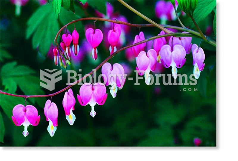 This bleeding heart plant (the genus Dicentra) is an example of an angiosperm.