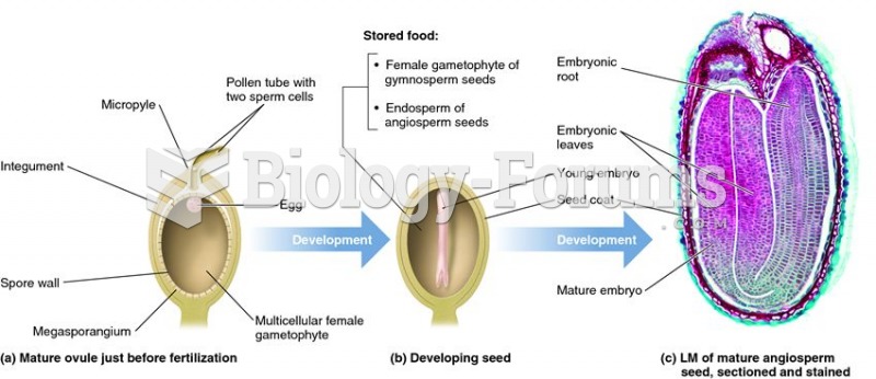 Structure of an ovule developing into a seed.