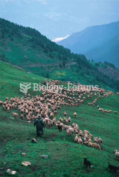 Managing large bands of grazing animals requires detailed knowledge of local landscapes, especially 