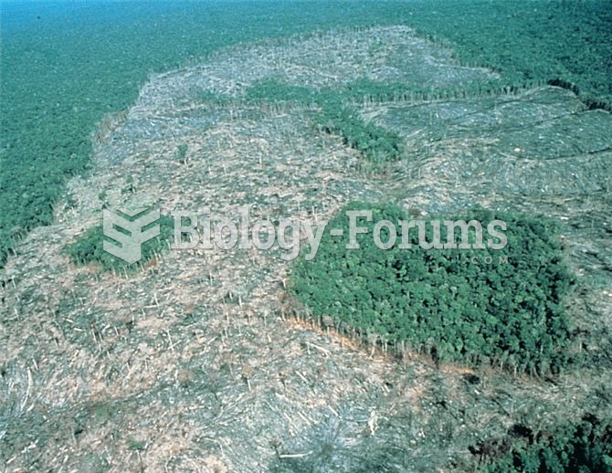 Forest fragments left by clear-cutting forest from the surrounding landscape have very different phy