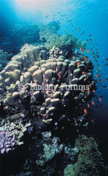 A rich diversity of life lives in and among coral reefs.