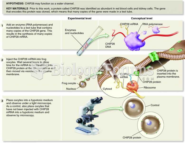 The discovery of aquaporins, water channels made of a transmembrane protein.