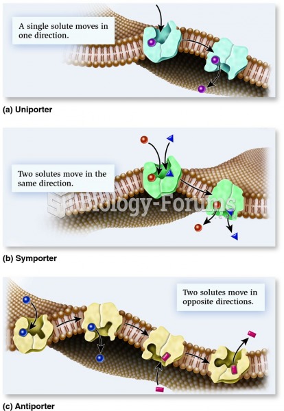 Types of transporters based on the direction of transport.