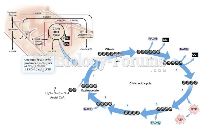 Overview of the citric acid cycle