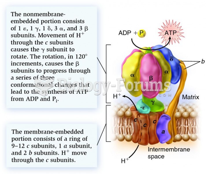The subunit structure and function of the ATP synthase