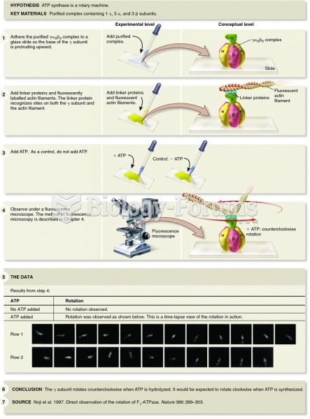 Evidence that the ATP synthase is a rotary machine