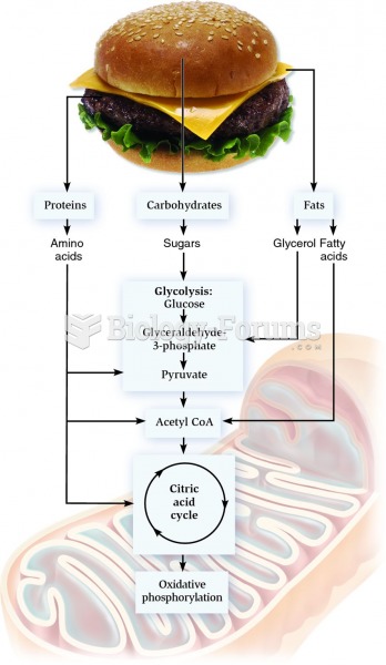 Integration of protein, carbohydrate, and fat metabolism