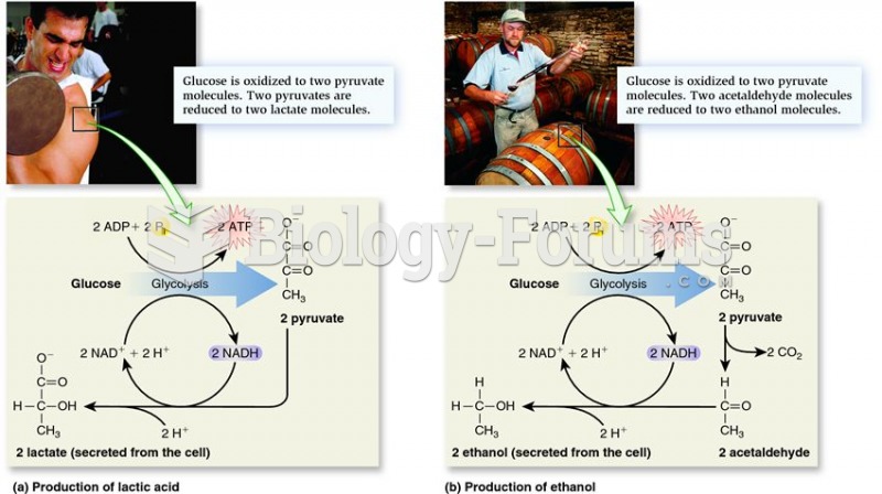 Examples of fermentation