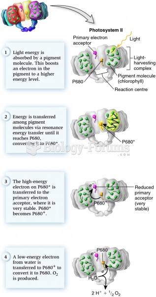 The absorption of light energy by pigment molecules in the light-harvesting complex, and the path th